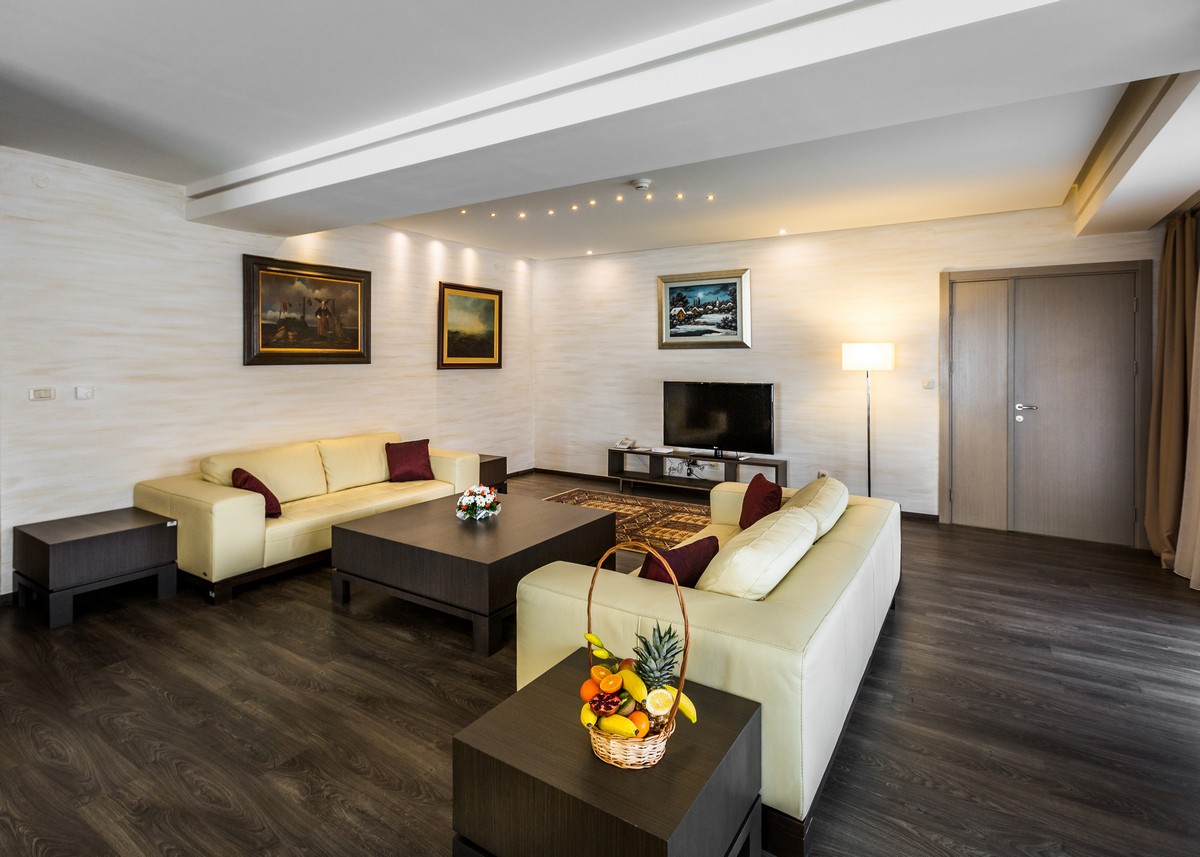 Hotel Stara Planina apartman.jpg