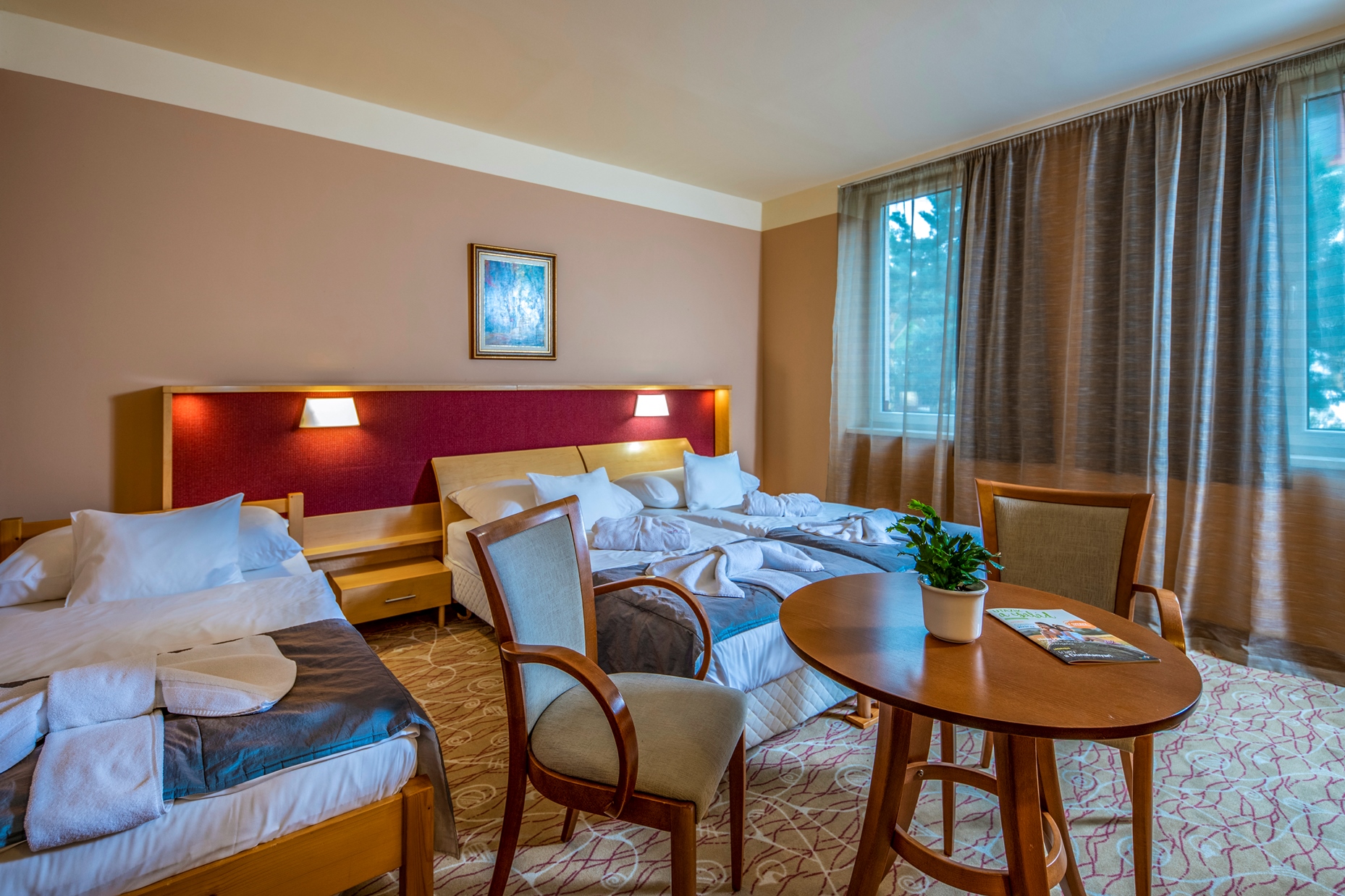 Drava Thermal Resort classic soba izgled.jpg