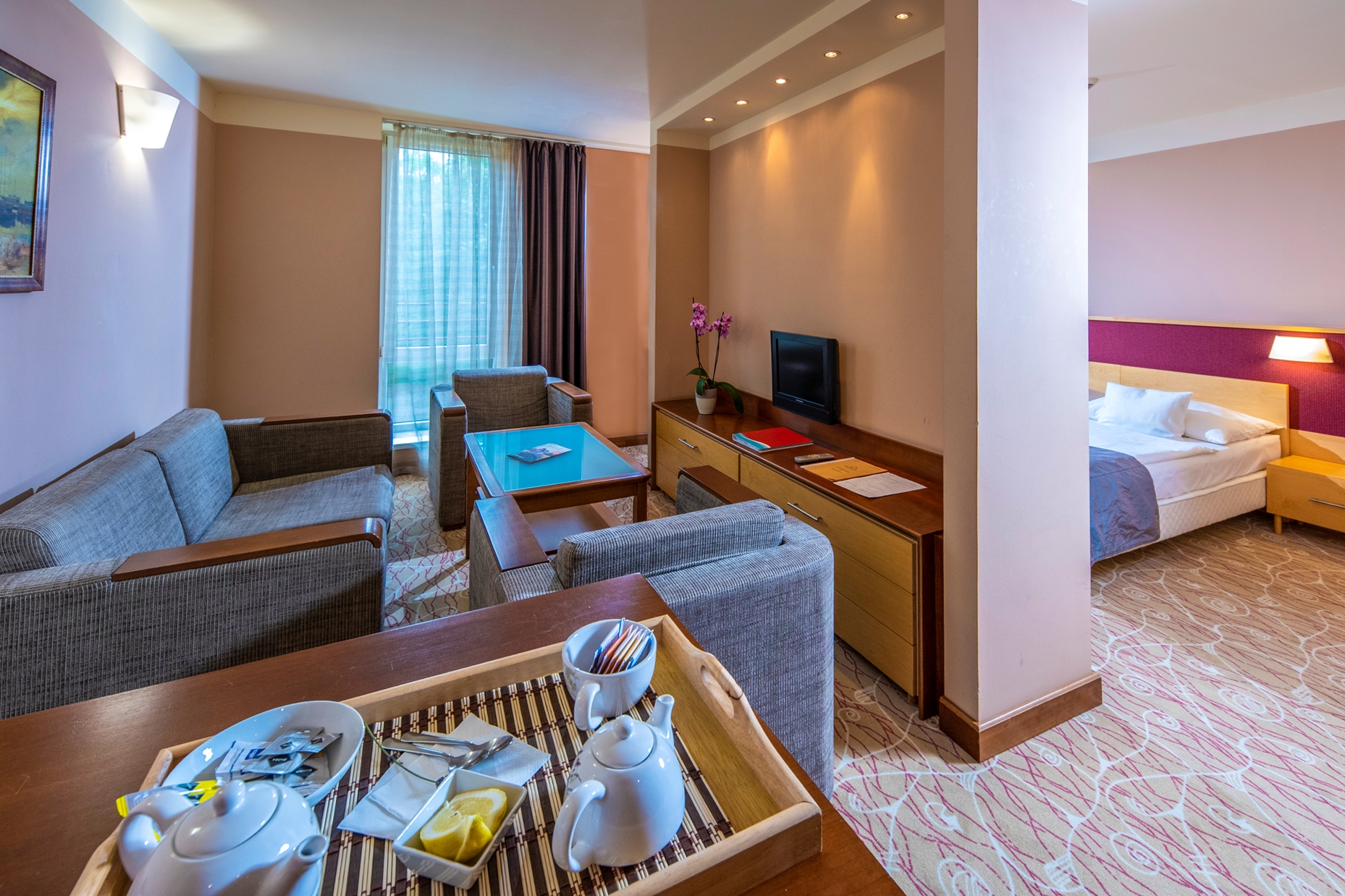 Drava Thermal Resort superior soba.jpg