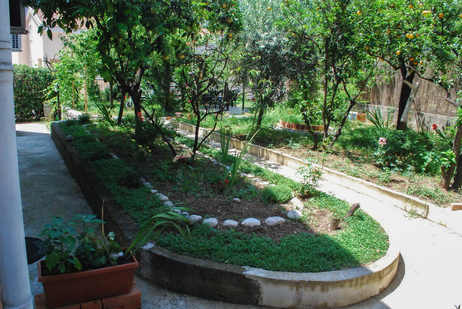 Apartments Tea Kotor vrt.jpg
