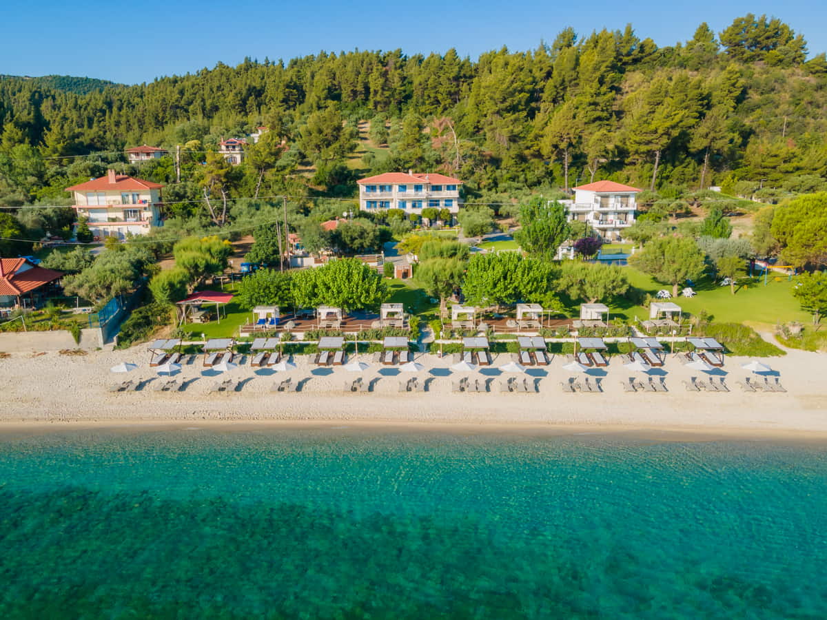 Villa Despina Halkidiki-Okruzenje hotela.jpeg