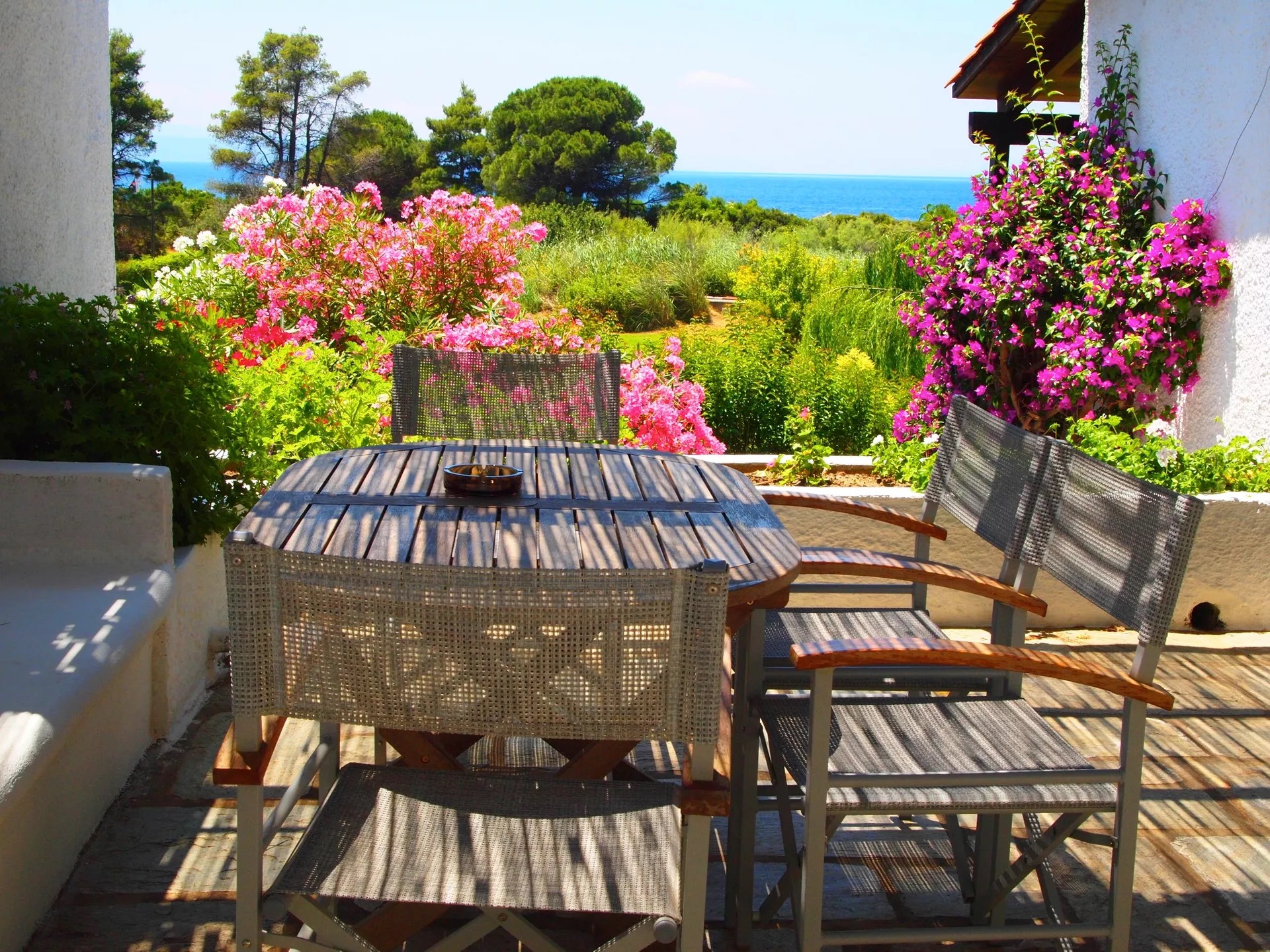 Skiathos Holidays-Terasa.jpg