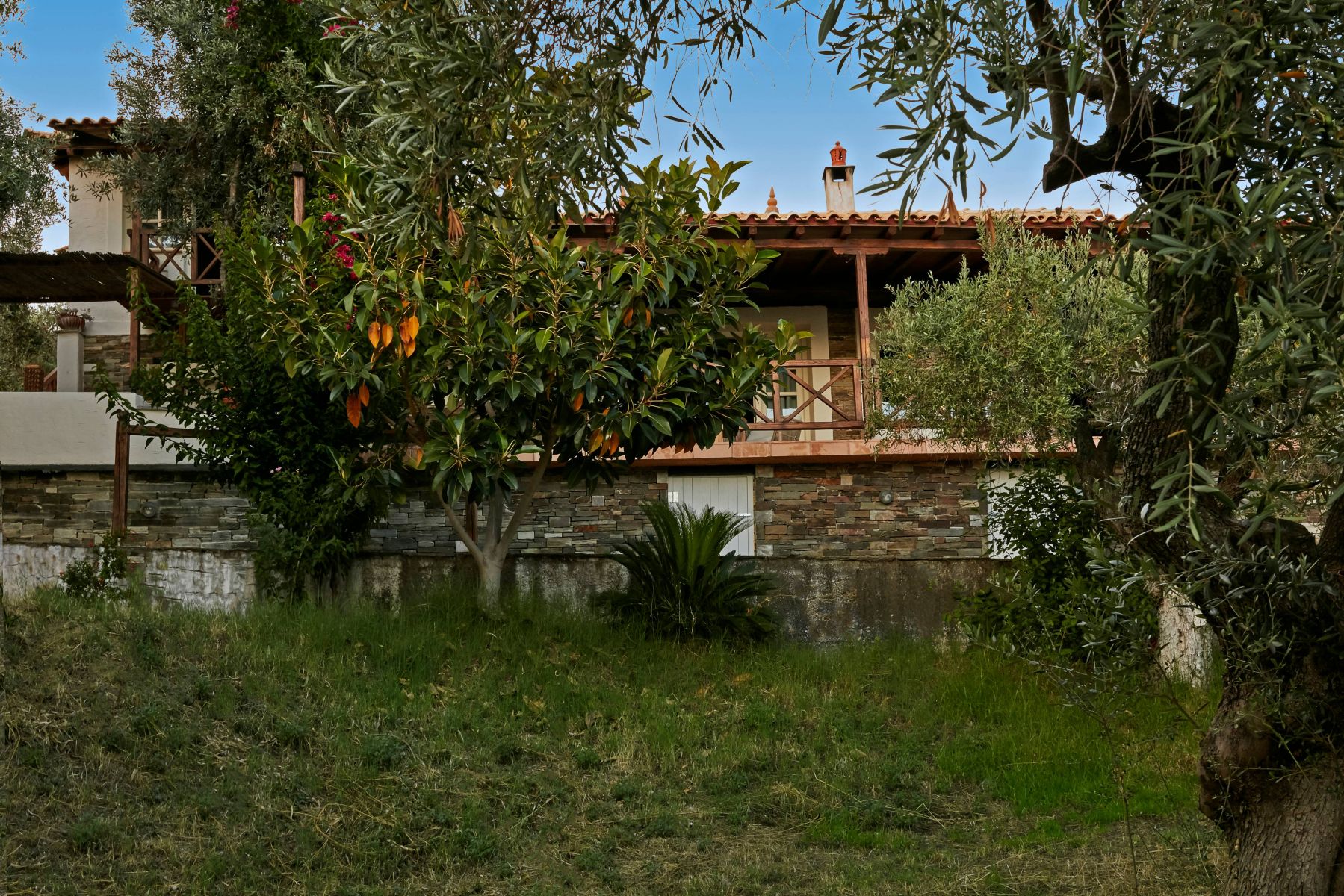 Villa Ira Skiathos-Okruzenje vile.jpg