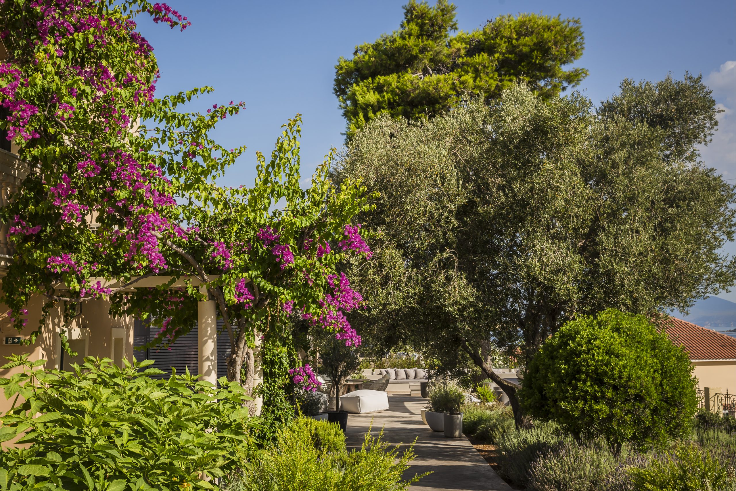 Thalassa Boutique Hotel Kefalonia-Basta hotela.jpg