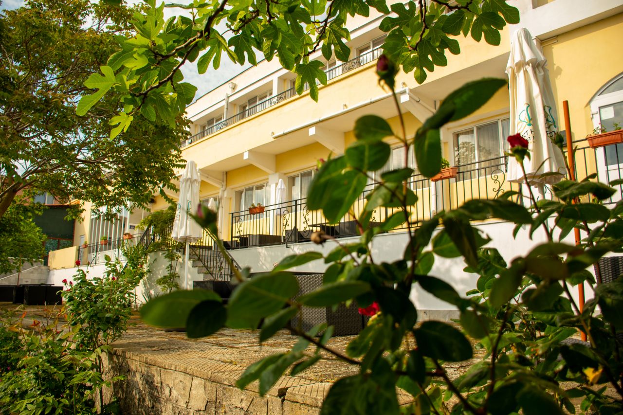 Hotel Effect Saint Mina.jpg