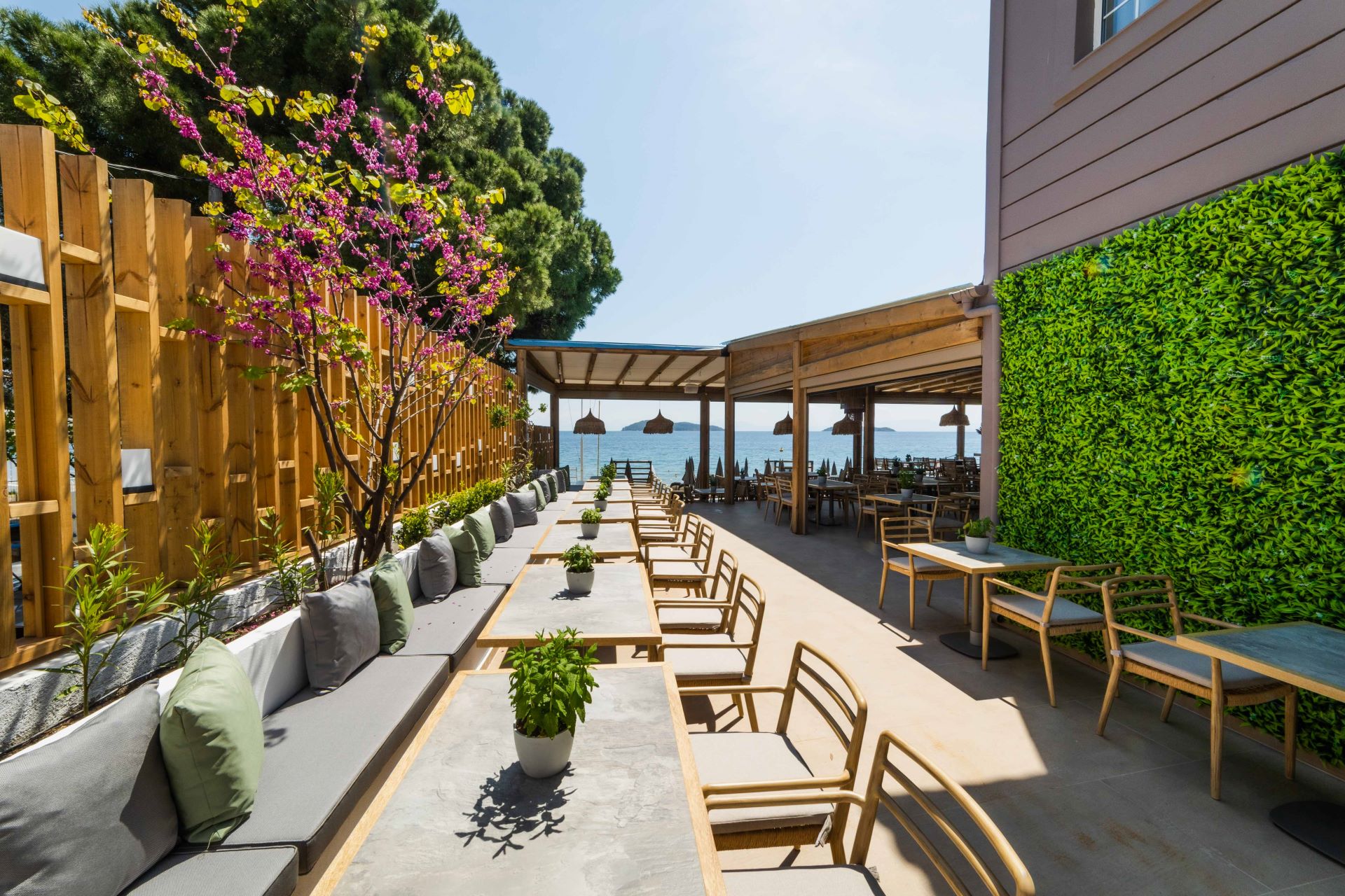 theros-achinos seaside-restoran.jpg