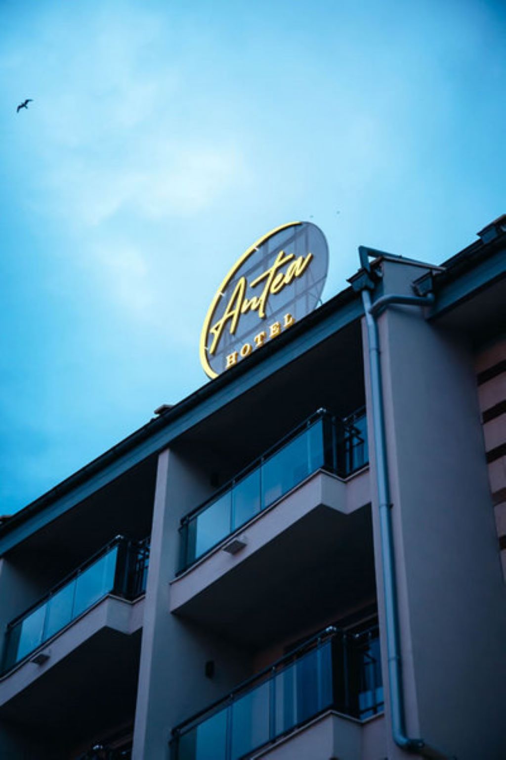 Hotel Antea-Ulaz u hotel.jpg