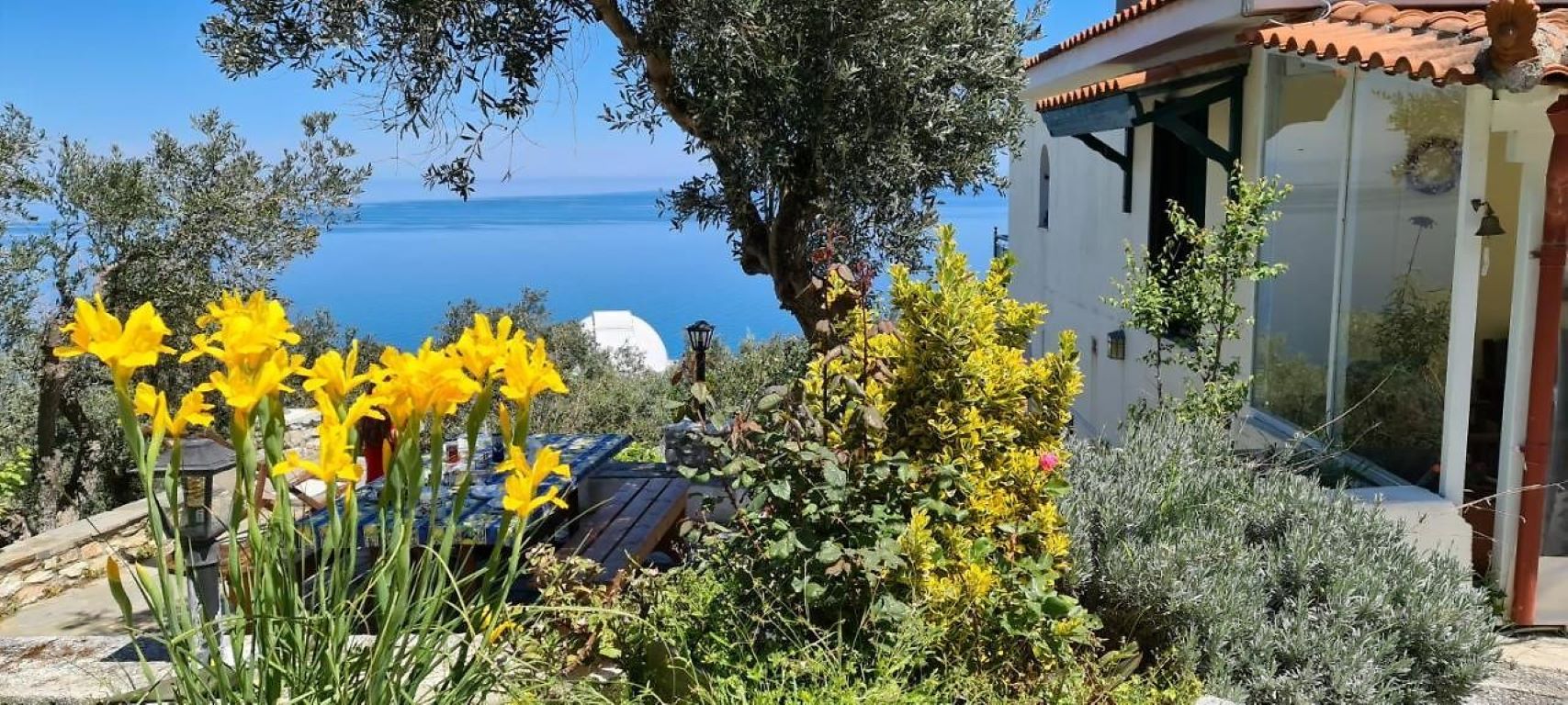 Captain's VIlla-Spoljasnji izgled.jpg