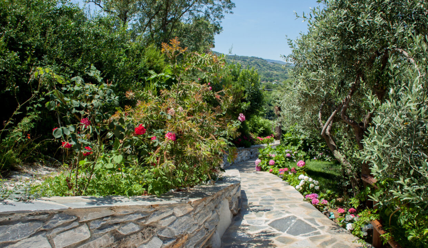 Barbarella Luxury Resort vrt
