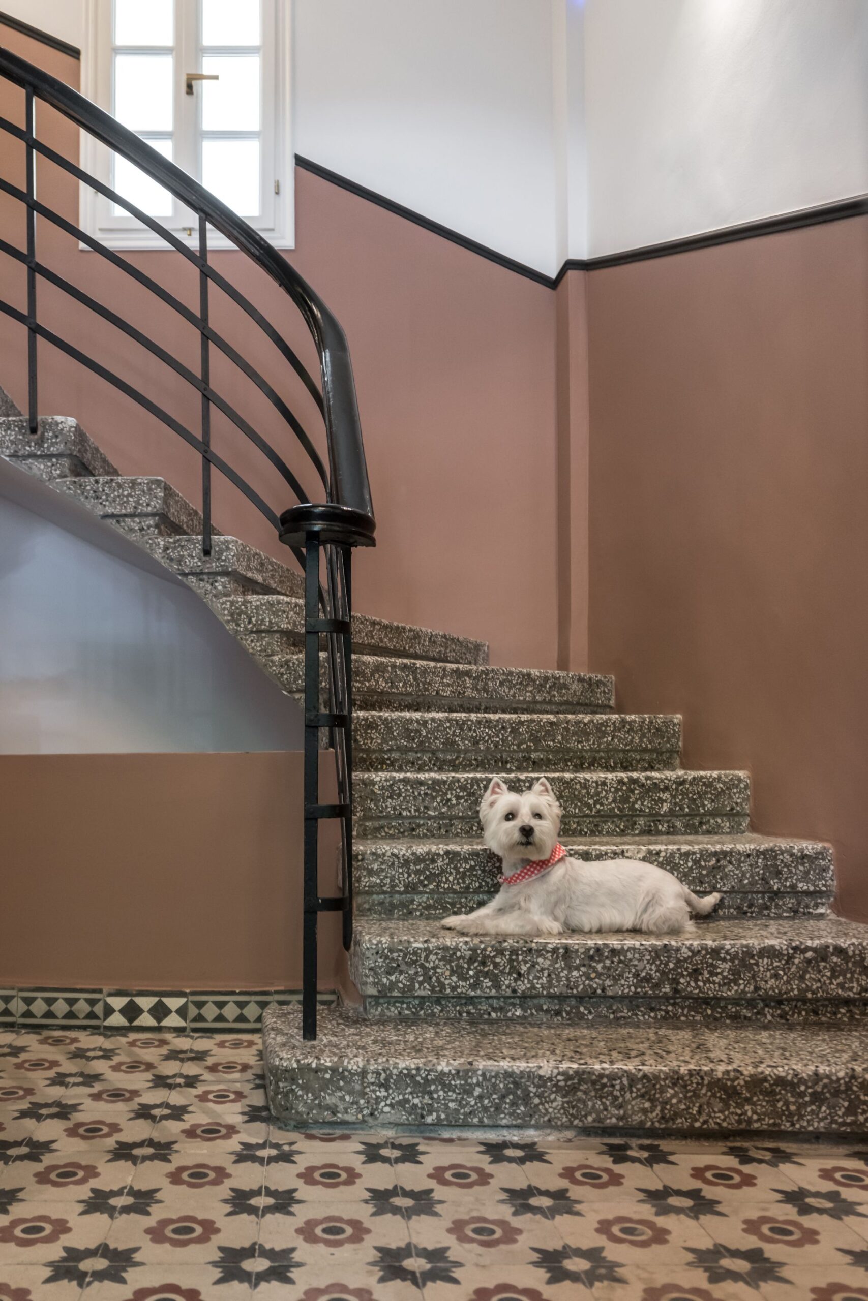 72 AD Suites pet friendly.jpg