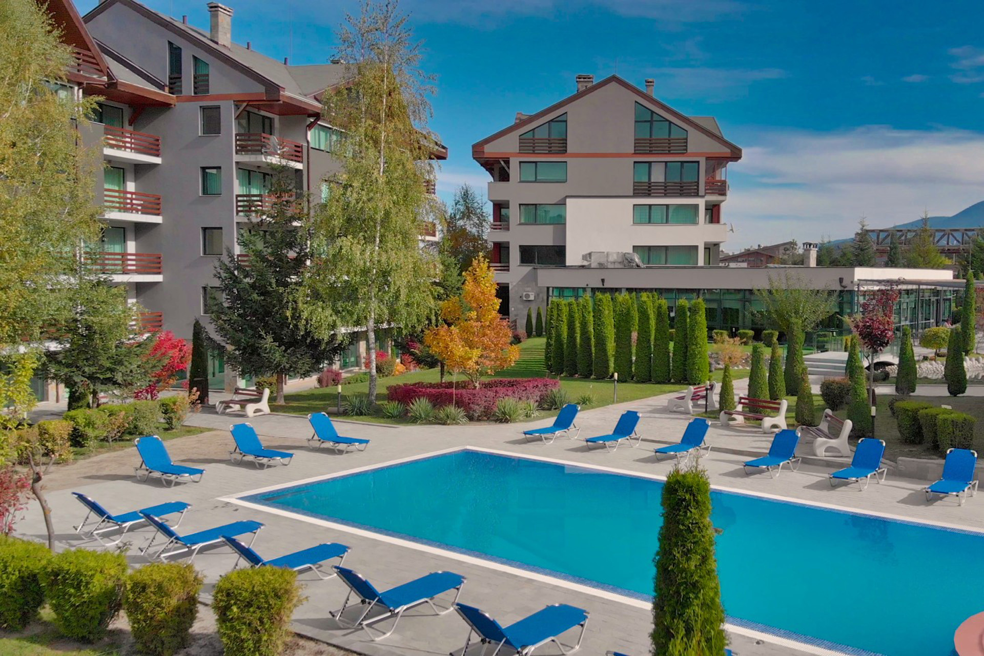 Local Stay-Spoljasnji bazen.jpg