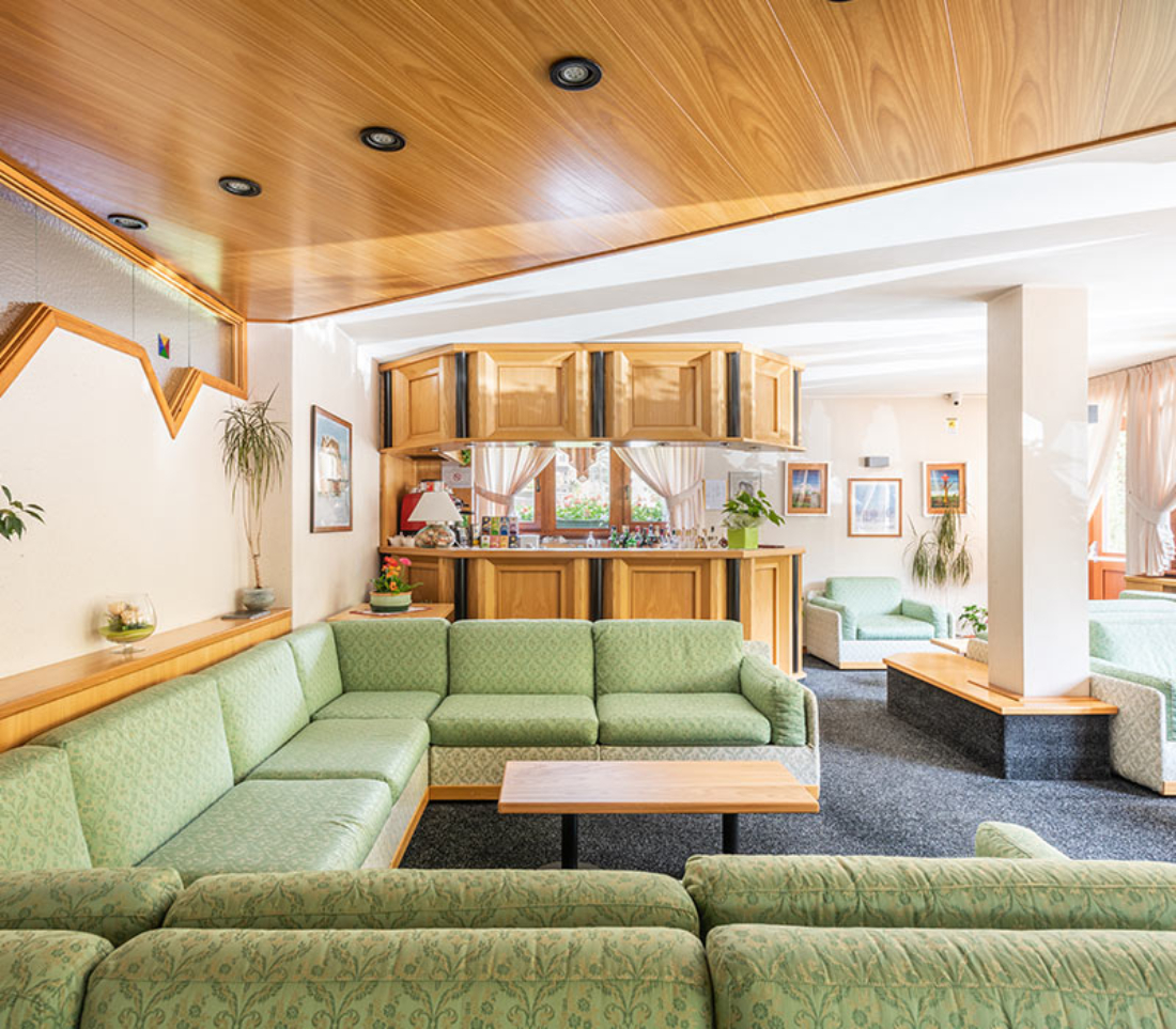 Hotel Alpina bar