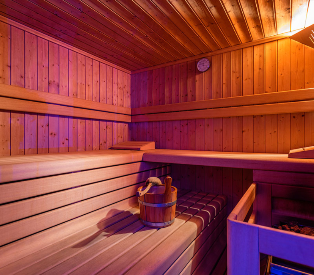 Hotel Alpina sauna