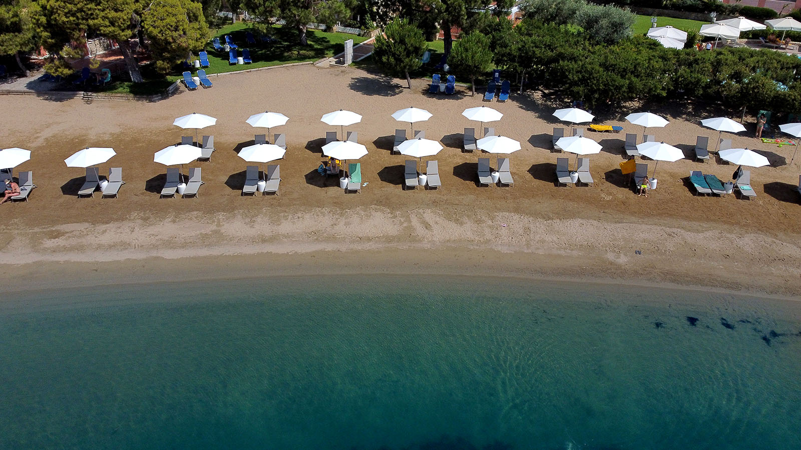 Hotel Negroponte Resort plaza 1.jpg