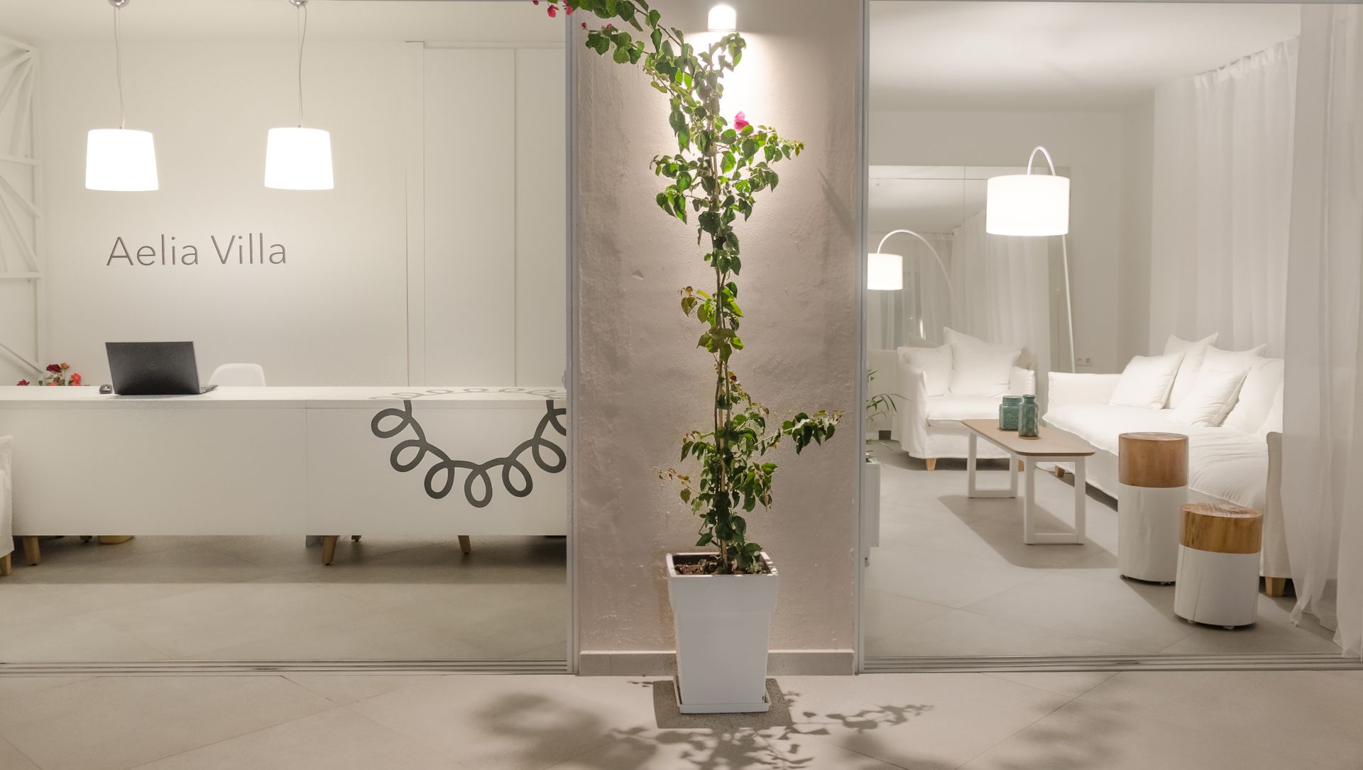 Aelia Villa Thassos lobi