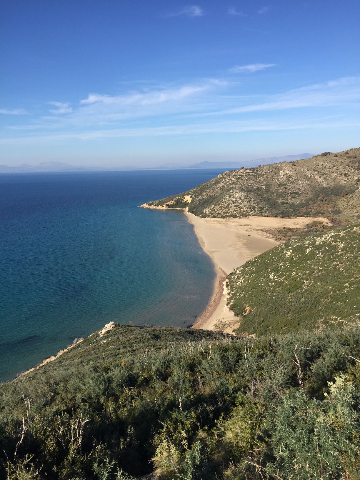 Verde Al Mare