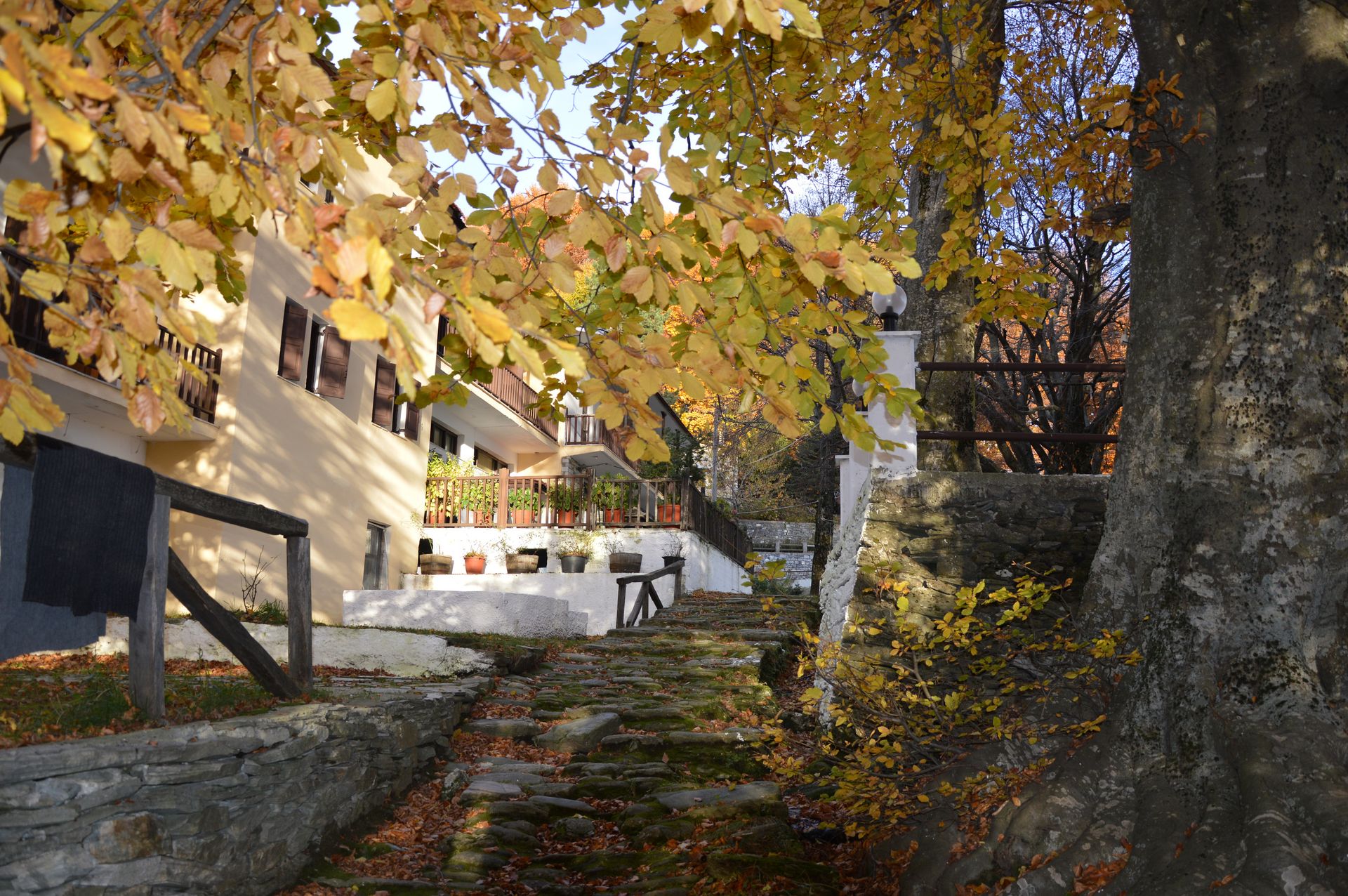 Hani Zisi Hotel