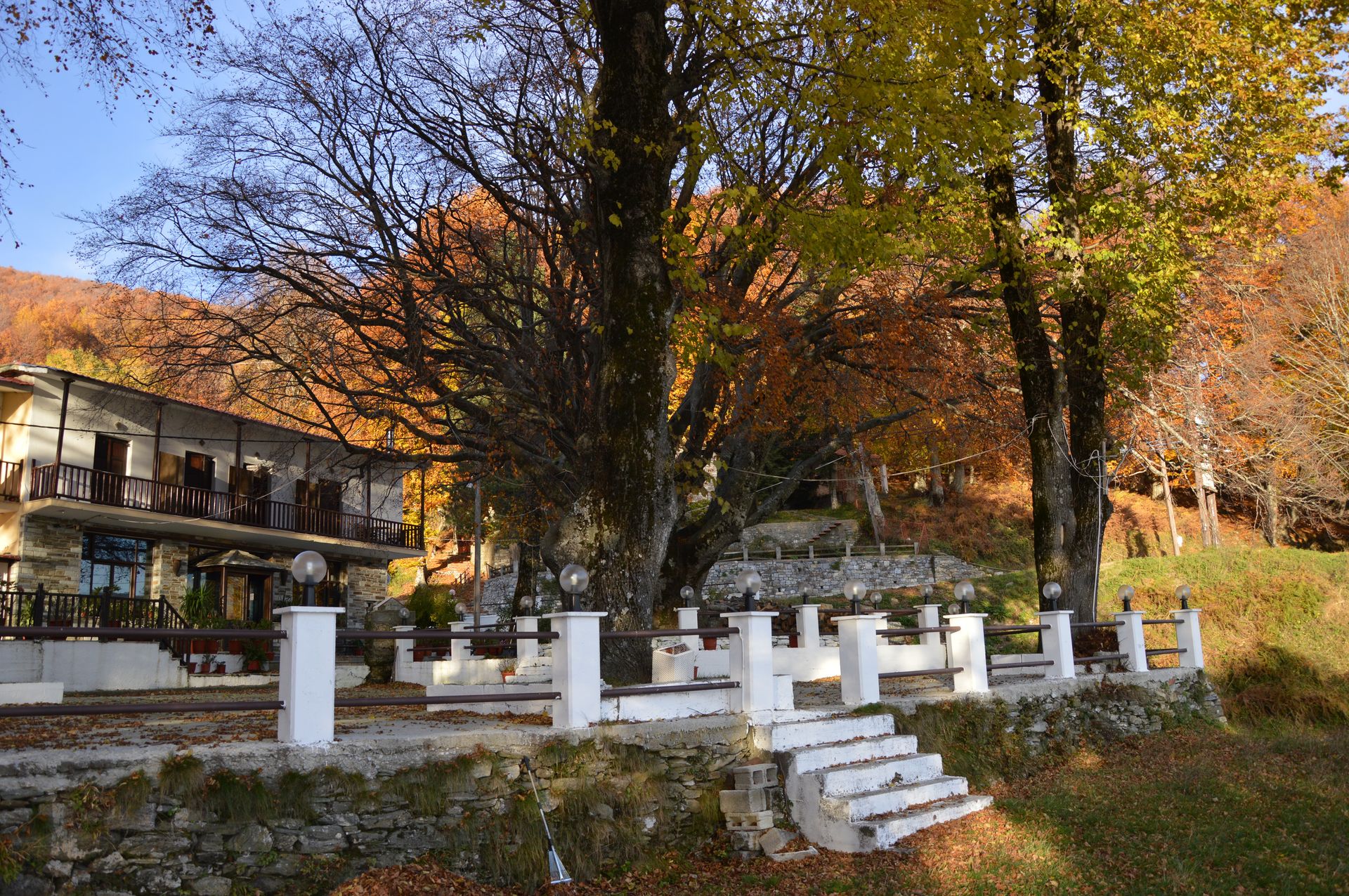 Hani Zisi Hotel