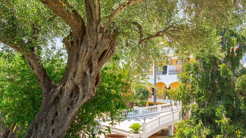 Paradise Hotel Corfu dvorište