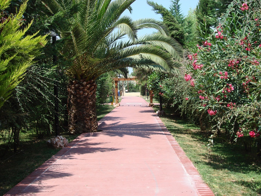 Hotel Alkyon resort _ spa garden.jpg