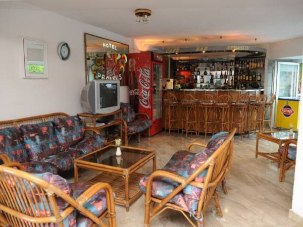 Pegasus hotel bar.jpg