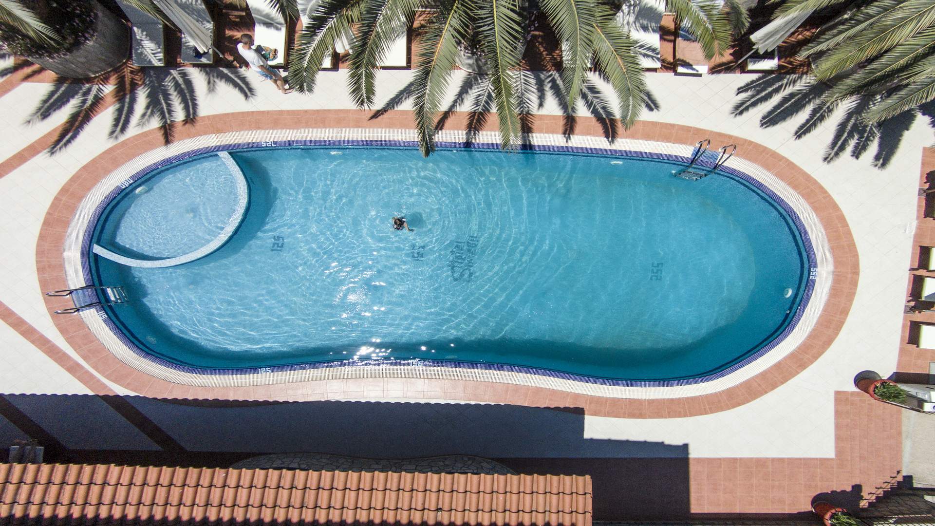 Simeon hotel pool.jpg