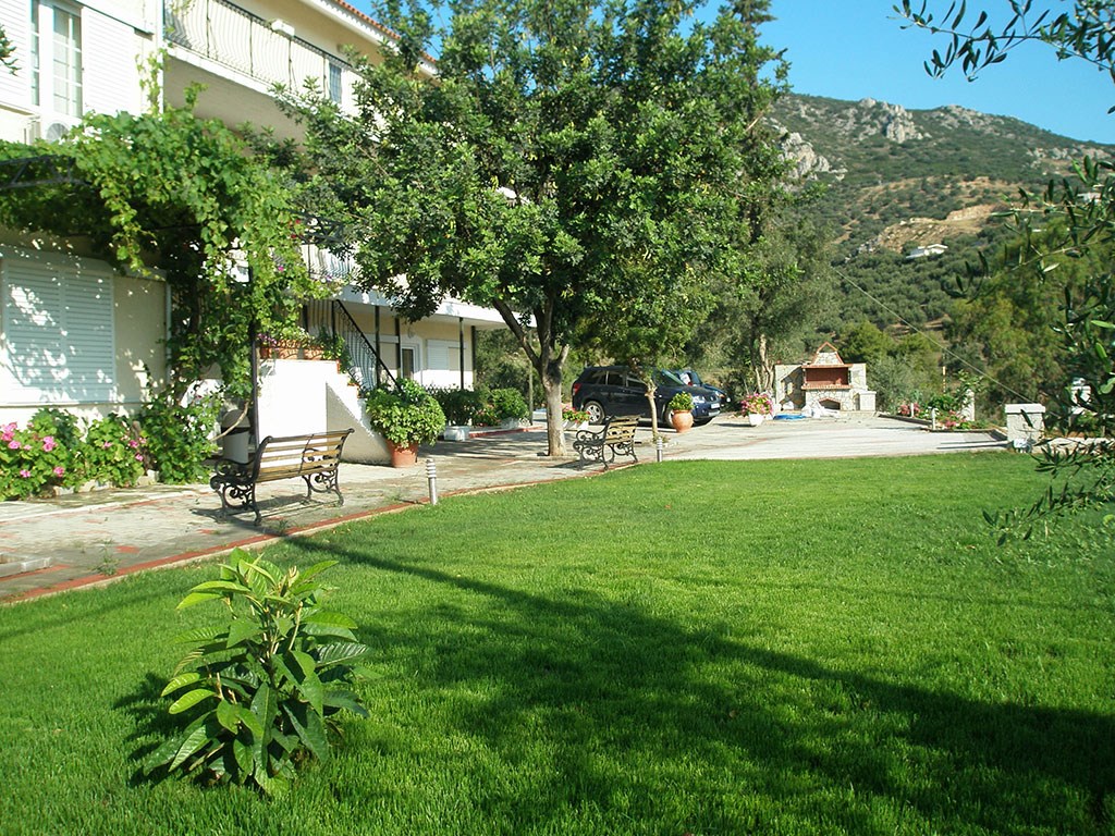 Allonia studios garden.jpeg