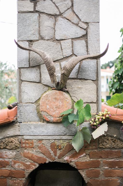 Hotel Castle Pontos - detalji u bašti.jpg