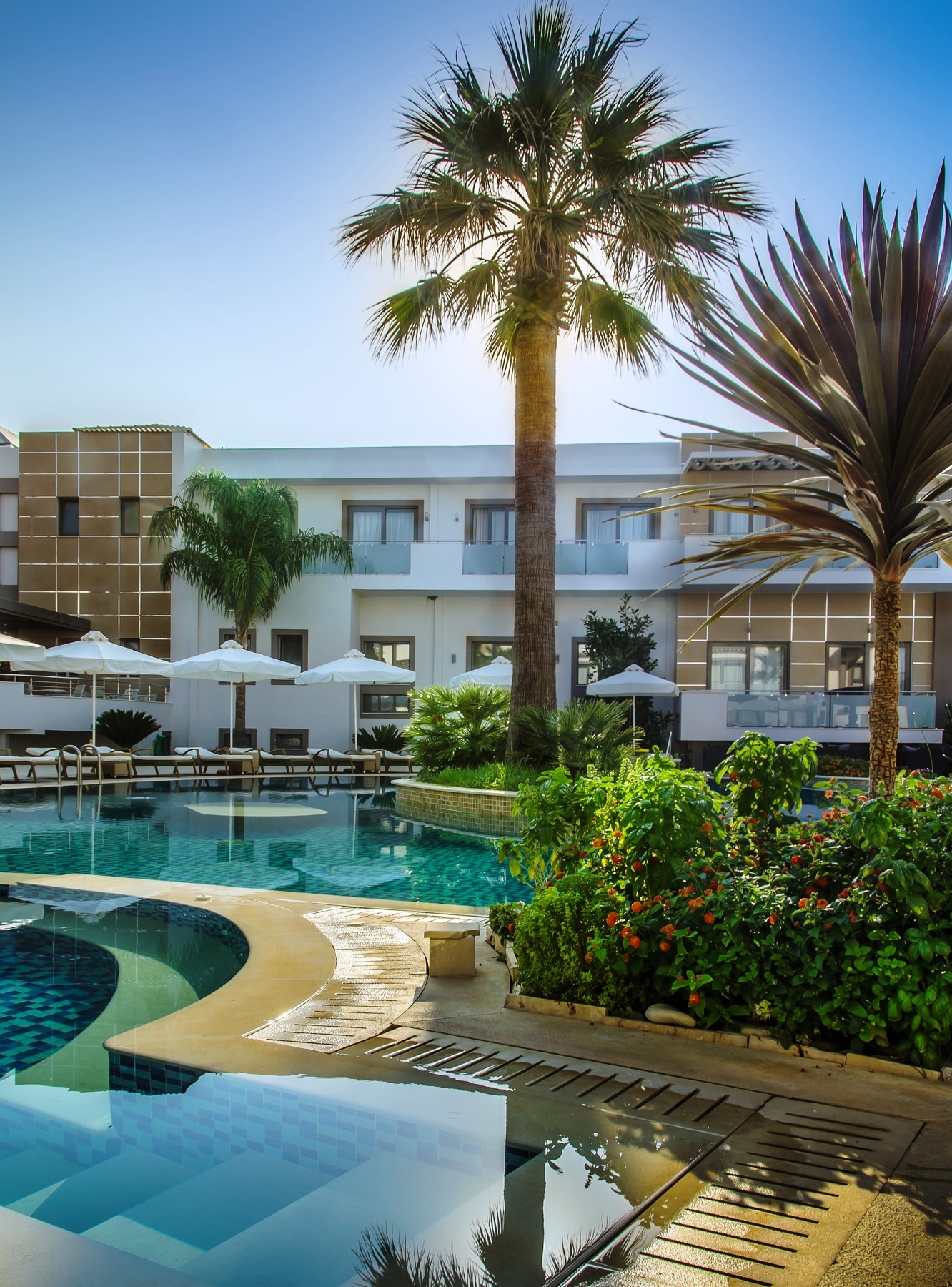 Lesante Classic Luxury Hotel _ Spa - palme na bazenu.jpg
