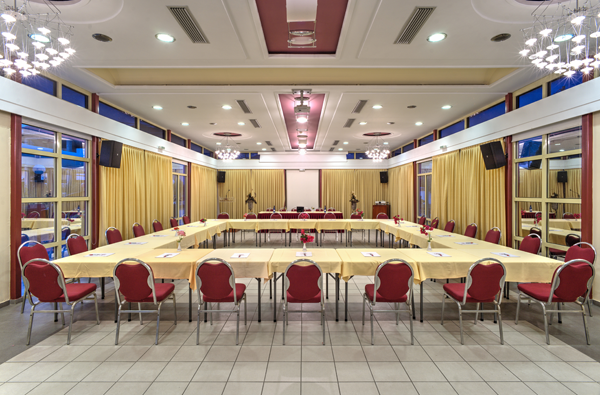 Hotel Angelica Pallace conference room.png