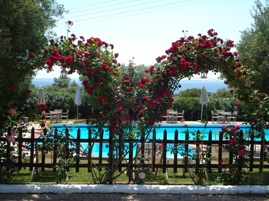 Asteris Village Hotel - detalji i bazen.jpg