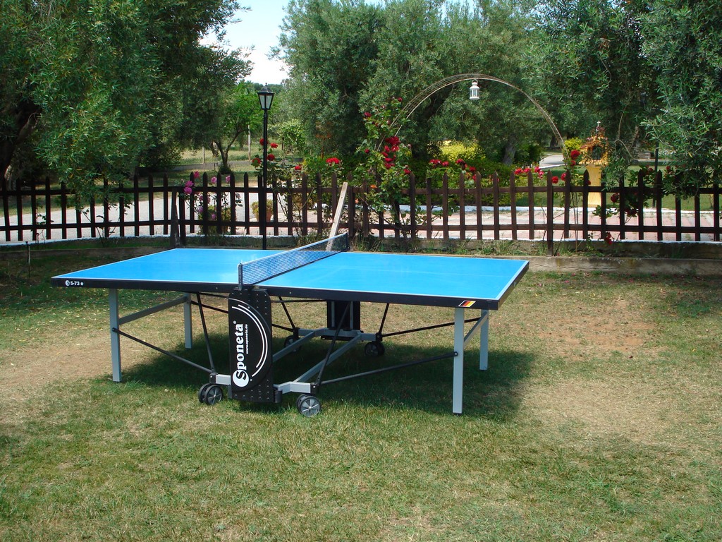 Asteris Village Hotel - economy studio- sto za stoni tenis.jpg