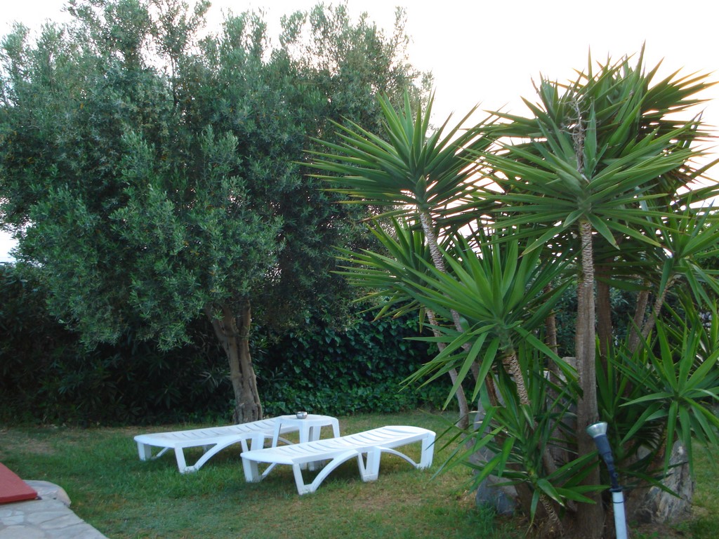 Asteris Village Hotel - ležaljke u bašti.jpg