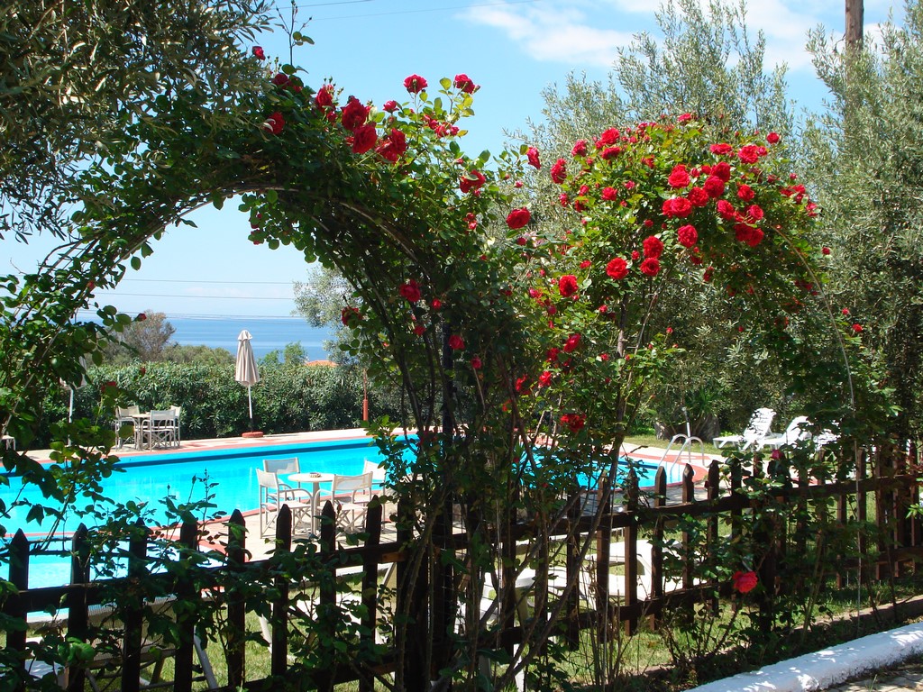 Detalji pored bazena.jpg