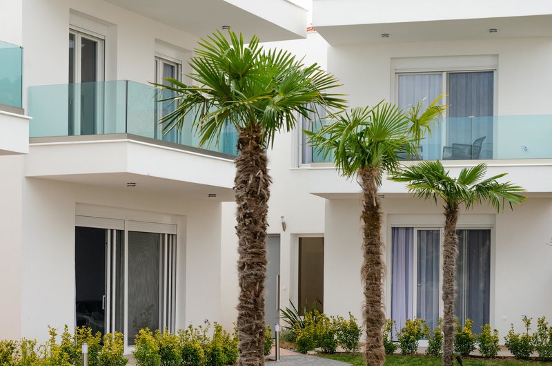 Acrotel Porto Brava Luxury Villas - palme u bašti hotela.jpg