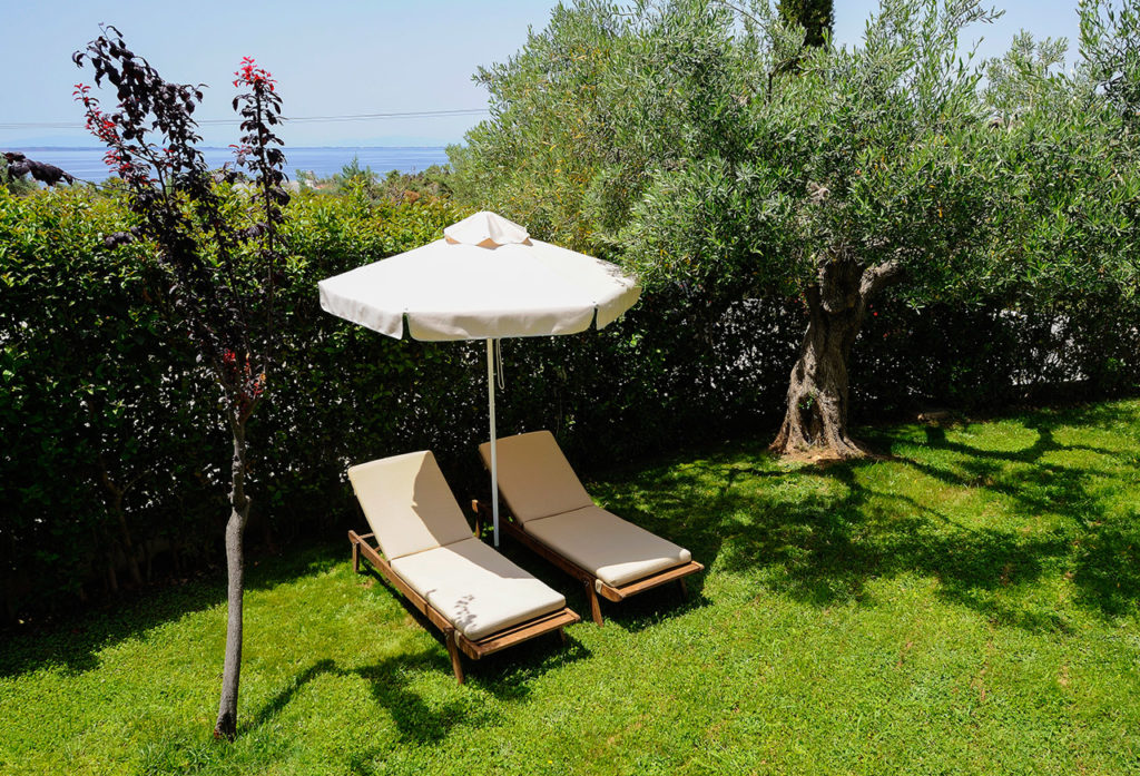 Trikorfo Beach hotel - Ležaljka i suncobran pored drveta masline.jpg