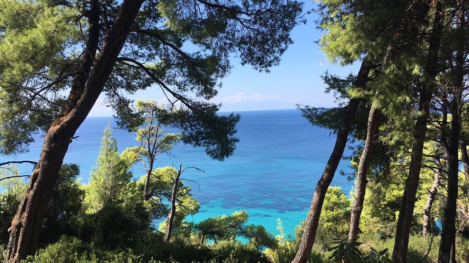 Dryades Hotel - Pogled na more iz bašte hotela.jpg