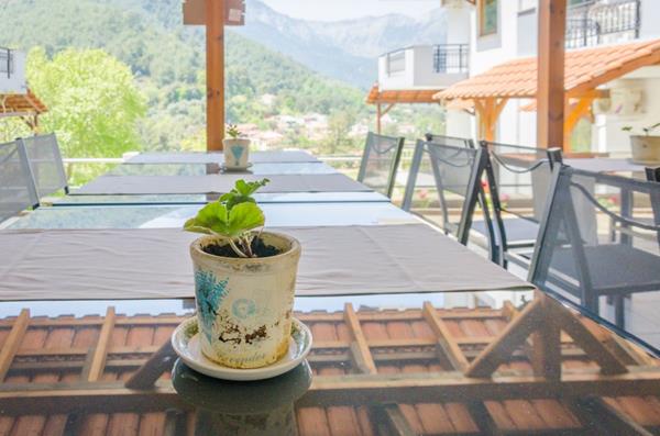 Vedere Apartments - detalji u bašti.jpg