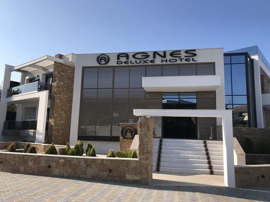 Agnes Deluxe Hotel - ulaz u hotel.jpg
